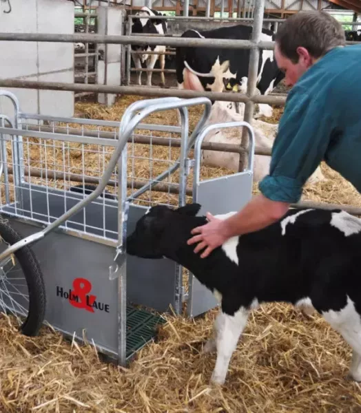 Chariot de transport veau Hom & LAUE CALFBUGGY 89610019