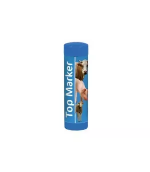 CRAYON TOP MARKER BLEU