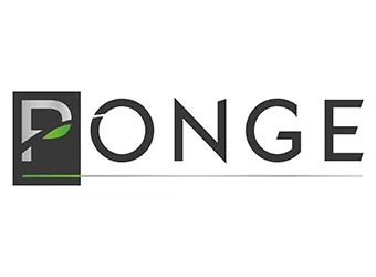 Ponge